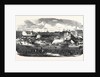 Show of the Manchester and Liverpool Agricultural Society, in the Haymarket, Great Homer Street, Liverpool, 1852 by Anonymous