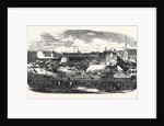 Show of the Manchester and Liverpool Agricultural Society, in the Haymarket, Great Homer Street, Liverpool, 1852 by Anonymous