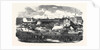 Show of the Manchester and Liverpool Agricultural Society, in the Haymarket, Great Homer Street, Liverpool, 1852 by Anonymous