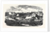 Show of the Manchester and Liverpool Agricultural Society, in the Haymarket, Great Homer Street, Liverpool, 1852 by Anonymous