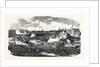 Show of the Manchester and Liverpool Agricultural Society, in the Haymarket, Great Homer Street, Liverpool, 1852 by Anonymous
