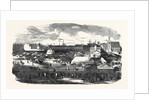 Show of the Manchester and Liverpool Agricultural Society, in the Haymarket, Great Homer Street, Liverpool, 1852 by Anonymous