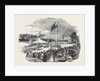 Opening of the South Wales Railway, the Carmarthen Station, 1852 by Anonymous