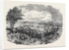 Harvest Home at the Philanthropic Society's Farm, Redhill, 1852 by Anonymous