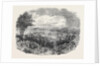 Harvest Home at the Philanthropic Society's Farm, Redhill, 1852 by Anonymous
