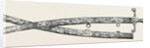 Sword Presented to Sir Charles J. Napier, by the Belooch Sirdars of Scinde, 1852 by Anonymous