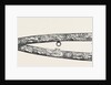 Sword Presented to Sir Charles J. Napier, by the Belooch Sirdars of Scinde, 1852 by Anonymous