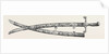 Sword Presented to Sir Charles J. Napier, by the Belooch Sirdars of Scinde, 1852 by Anonymous