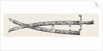 Sword Presented to Sir Charles J. Napier, by the Belooch Sirdars of Scinde, 1852 by Anonymous