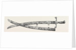 Sword Presented to Sir Charles J. Napier, by the Belooch Sirdars of Scinde, 1852 by Anonymous