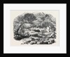 The Inundations in Worcestershire: Ruins of the Bower, 1852 by Anonymous