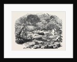 The Inundations in Worcestershire: Ruins of the Bower, 1852 by Anonymous