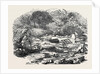 The Inundations in Worcestershire: Ruins of the Bower, 1852 by Anonymous