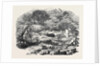 The Inundations in Worcestershire: Ruins of the Bower, 1852 by Anonymous