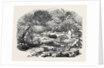 The Inundations in Worcestershire: Ruins of the Bower, 1852 by Anonymous