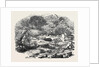 The Inundations in Worcestershire: Ruins of the Bower, 1852 by Anonymous