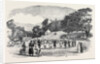 Coorg Harvest Festival, Madras by Anonymous