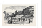 Coorg Harvest Festival, Madras by Anonymous