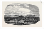 The Vraic or Seaweed Harvest Guernsey: Gathering the Vraic or Seaweed. by Anonymous