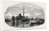 The Vraic or Seaweed Harvest Guernsey: Carting the Vraic by Anonymous