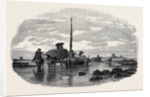 The Vraic or Seaweed Harvest Guernsey: Carting the Vraic by Anonymous
