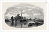The Vraic or Seaweed Harvest Guernsey: Carting the Vraic by Anonymous