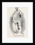 Marble Statue of His Royal Highness Prince Albert. by Anonymous
