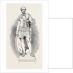 Marble Statue of His Royal Highness Prince Albert. by Anonymous