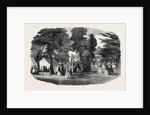 Fete in the Park and Gardens of Bowood, Wiltshire, 1852 by Anonymous