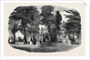 Fete in the Park and Gardens of Bowood, Wiltshire, 1852 by Anonymous