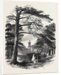 Osborne, View from the Park by Anonymous
