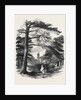 Osborne, View from the Park by Anonymous
