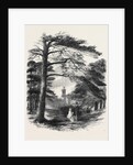 Osborne, View from the Park by Anonymous