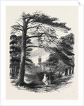 Osborne, View from the Park by Anonymous