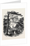 Osborne, View from the Park by Anonymous
