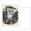 Osborne, View from the Park by Anonymous