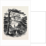 Osborne, View from the Park by Anonymous