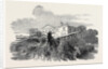 Cedar Struck by Lightning, at Henley-Upon-Thames, 1852 by Anonymous