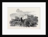 Cedar Struck by Lightning, at Henley-Upon-Thames, 1852 by Anonymous