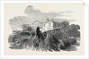 Cedar Struck by Lightning, at Henley-Upon-Thames, 1852 by Anonymous
