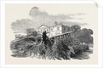 Cedar Struck by Lightning, at Henley-Upon-Thames, 1852 by Anonymous