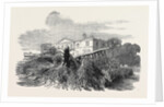 Cedar Struck by Lightning, at Henley-Upon-Thames, 1852 by Anonymous