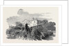 Cedar Struck by Lightning, at Henley-Upon-Thames, 1852 by Anonymous