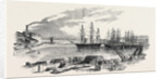 Arrival of the John Bowes Screw Steamer in the Collier Dock of the East and West India Dock Railway, 1852 by Anonymous