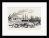 Arrival of the John Bowes Screw Steamer in the Collier Dock of the East and West India Dock Railway, 1852 by Anonymous