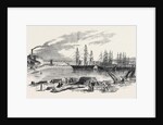 Arrival of the John Bowes Screw Steamer in the Collier Dock of the East and West India Dock Railway, 1852 by Anonymous