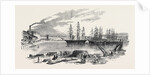 Arrival of the John Bowes Screw Steamer in the Collier Dock of the East and West India Dock Railway, 1852 by Anonymous