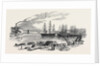 Arrival of the John Bowes Screw Steamer in the Collier Dock of the East and West India Dock Railway, 1852 by Anonymous