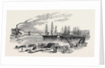 Arrival of the John Bowes Screw Steamer in the Collier Dock of the East and West India Dock Railway, 1852 by Anonymous
