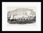 The City Steamboat Company's Vessels. by Anonymous